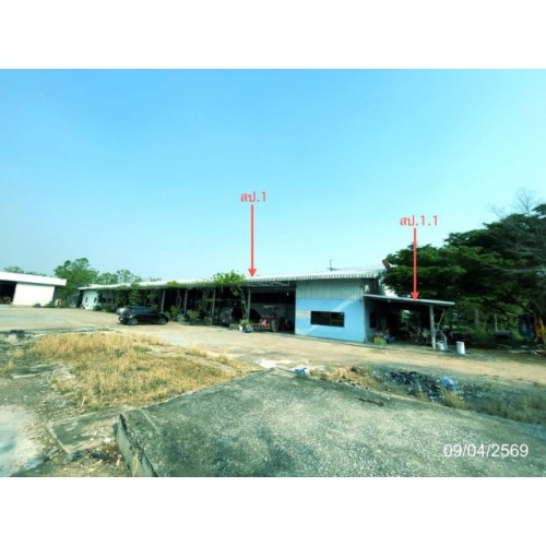 288116pic2