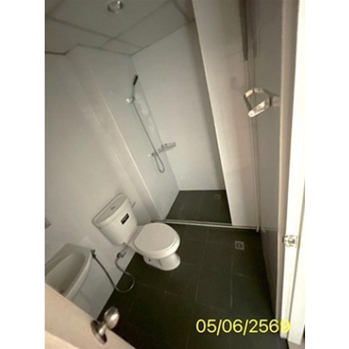 288571pic2