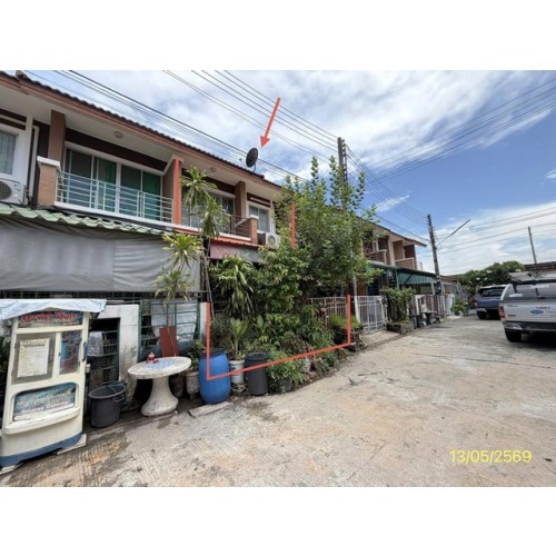 288557pic2
