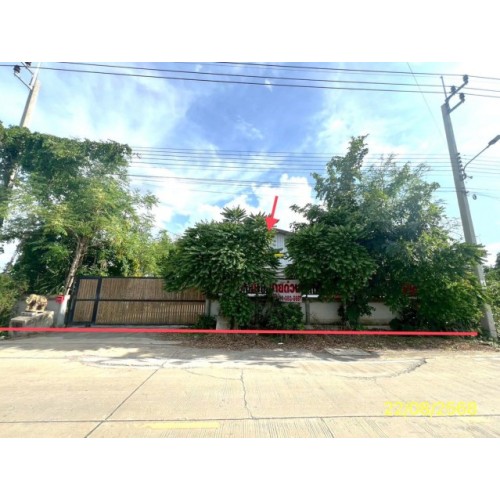 288093pic2