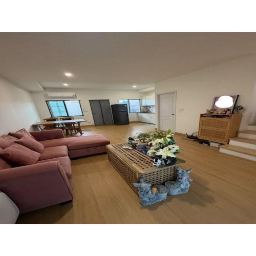 532912pic2