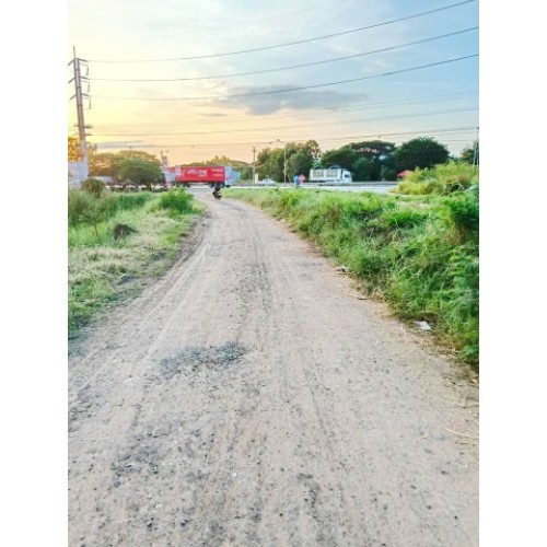 290151pic2