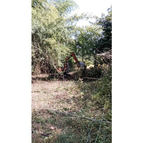 7382pic1