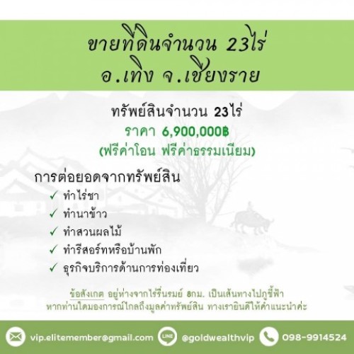 290453pic2