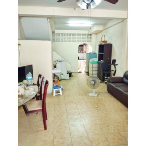 290282pic2