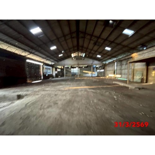 290172pic2