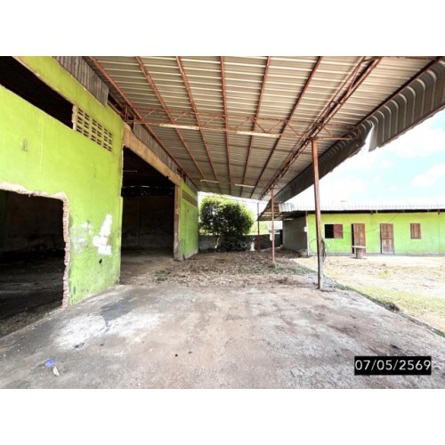 290169pic2