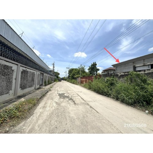 290156pic2