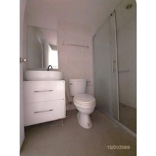 289035pic1