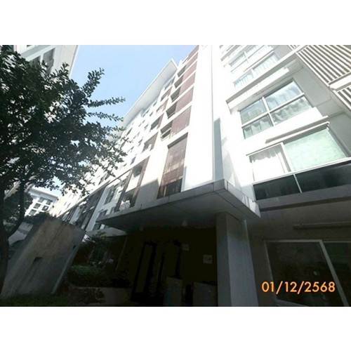 290460pic2