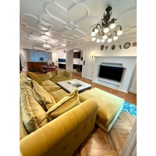 534516pic2