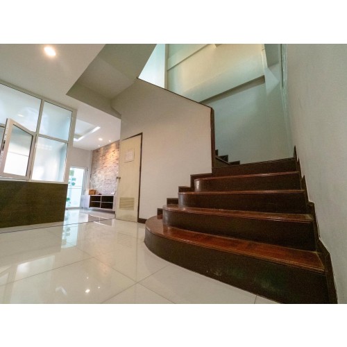 534599pic2