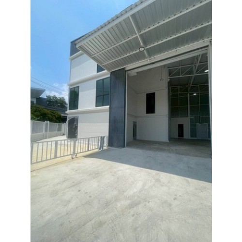 534601pic2