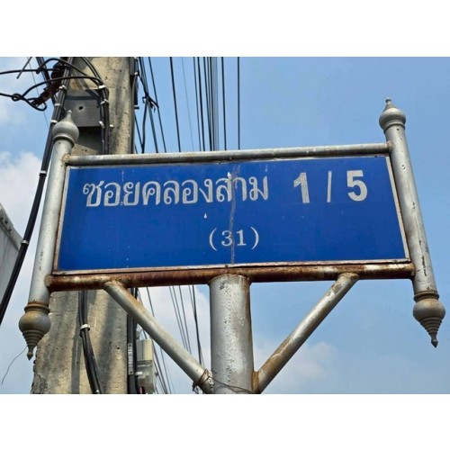 296751pic1