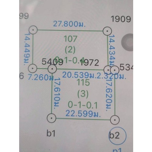 296751pic2