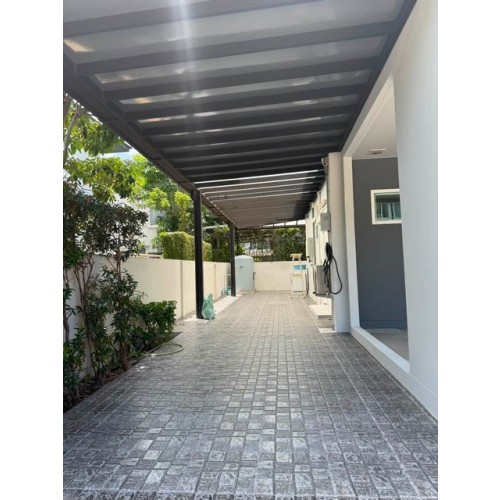 533198pic2