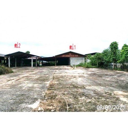 288840pic1