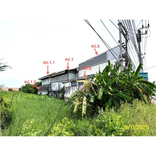 290173pic2