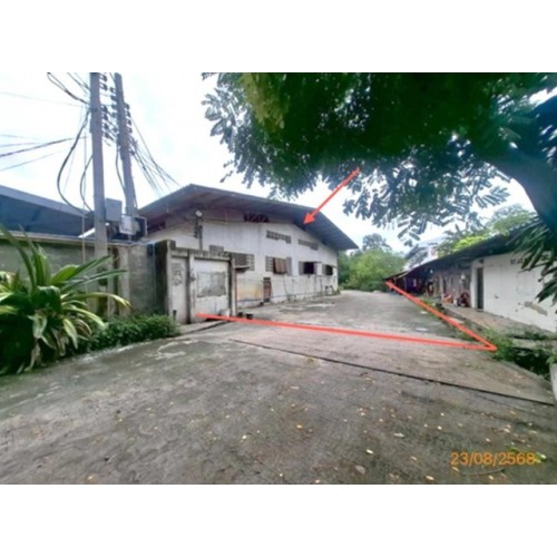 290249pic1