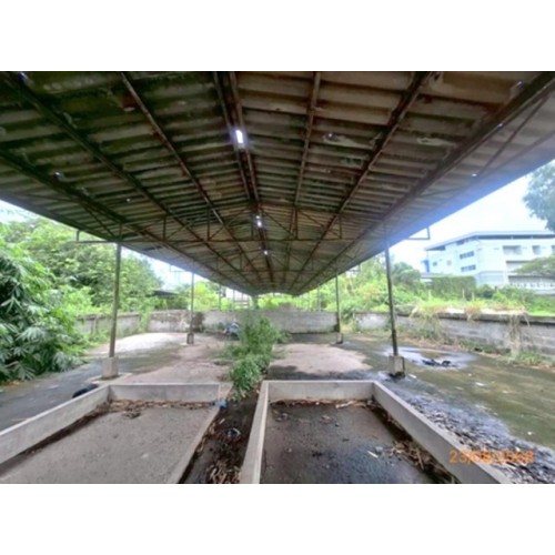 290249pic2
