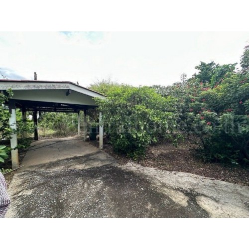 290435pic2