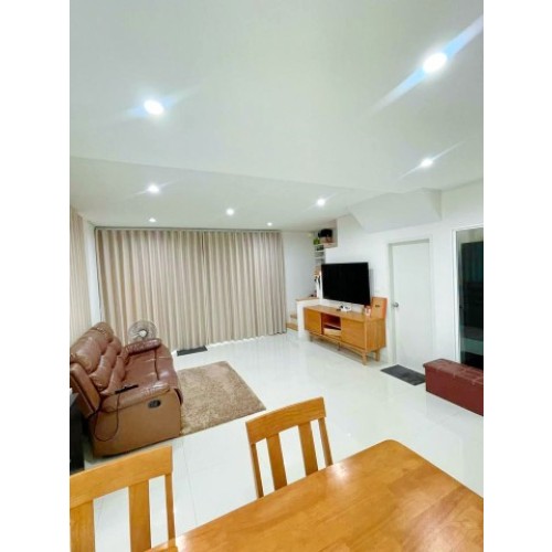 291555pic2