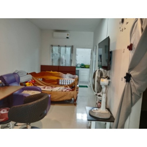 290303pic2