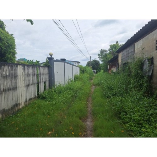 296943pic2
