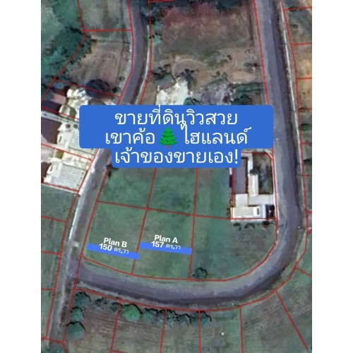 327349pic1