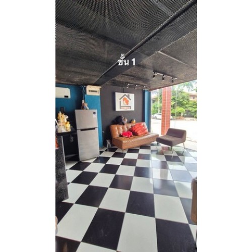 296934pic2