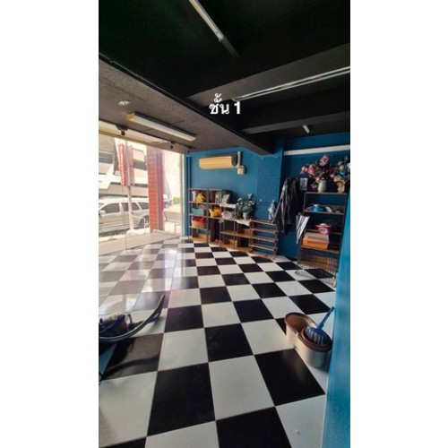 296934pic1