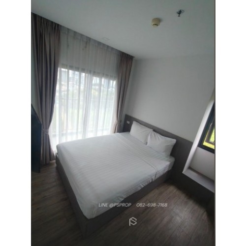 296962pic1