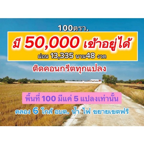 294910pic1