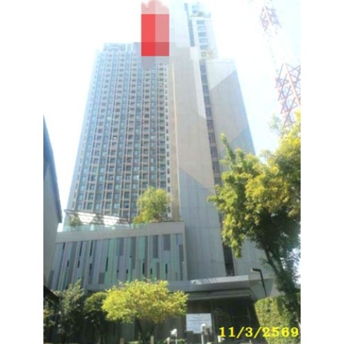 291609pic2