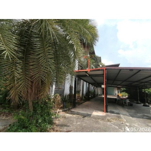 290160pic2