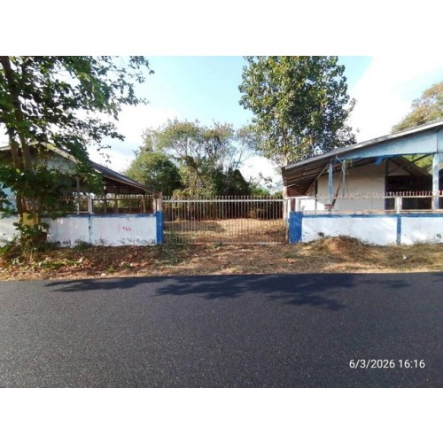 290157pic1