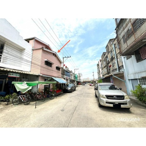 291529pic1