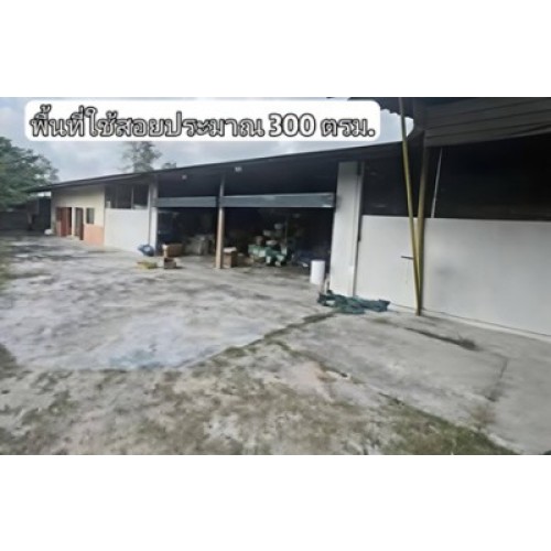 327501pic2
