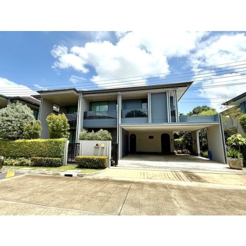 296973pic1