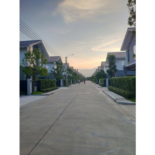 533495pic2