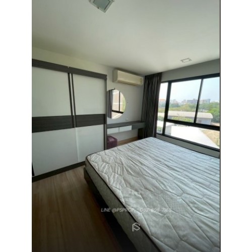297008pic1