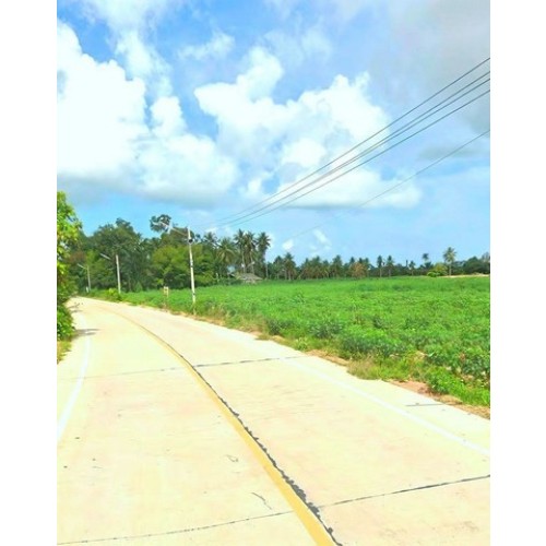 297018pic2
