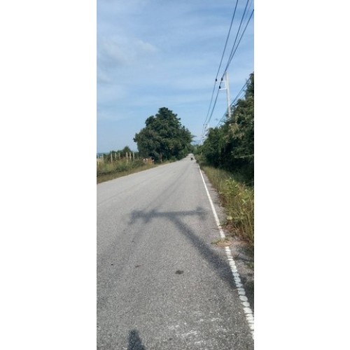 7382pic1