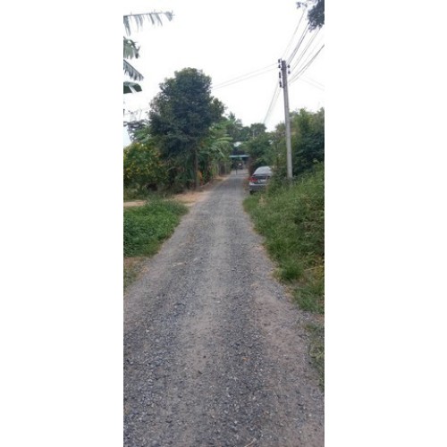 7372pic1