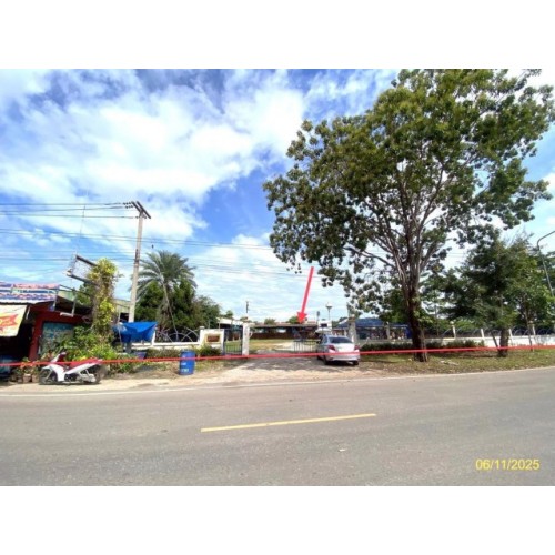 291691pic1