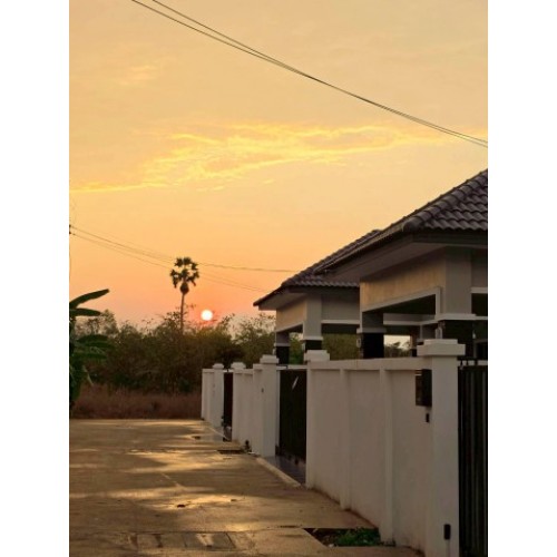 327632pic2