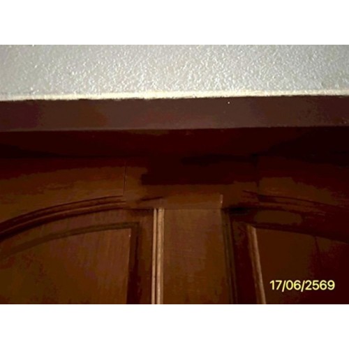 290288pic1