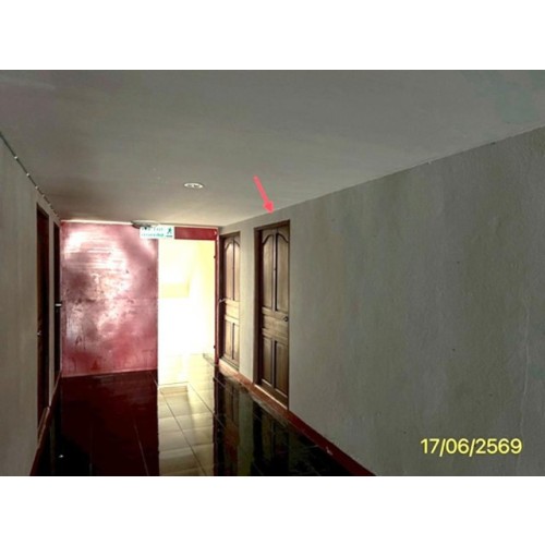 290288pic2