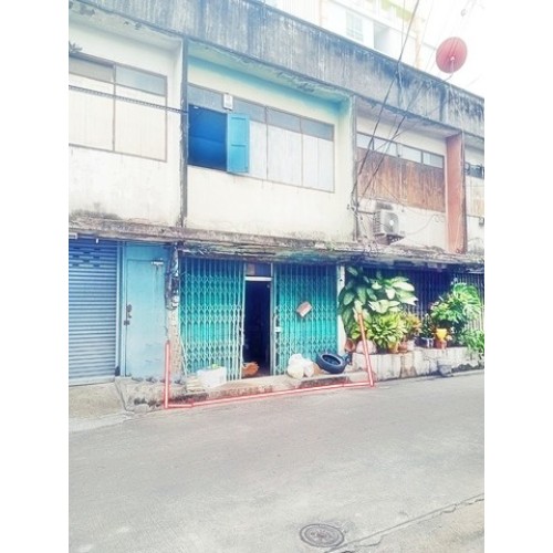 297057pic2