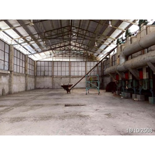 290448pic2